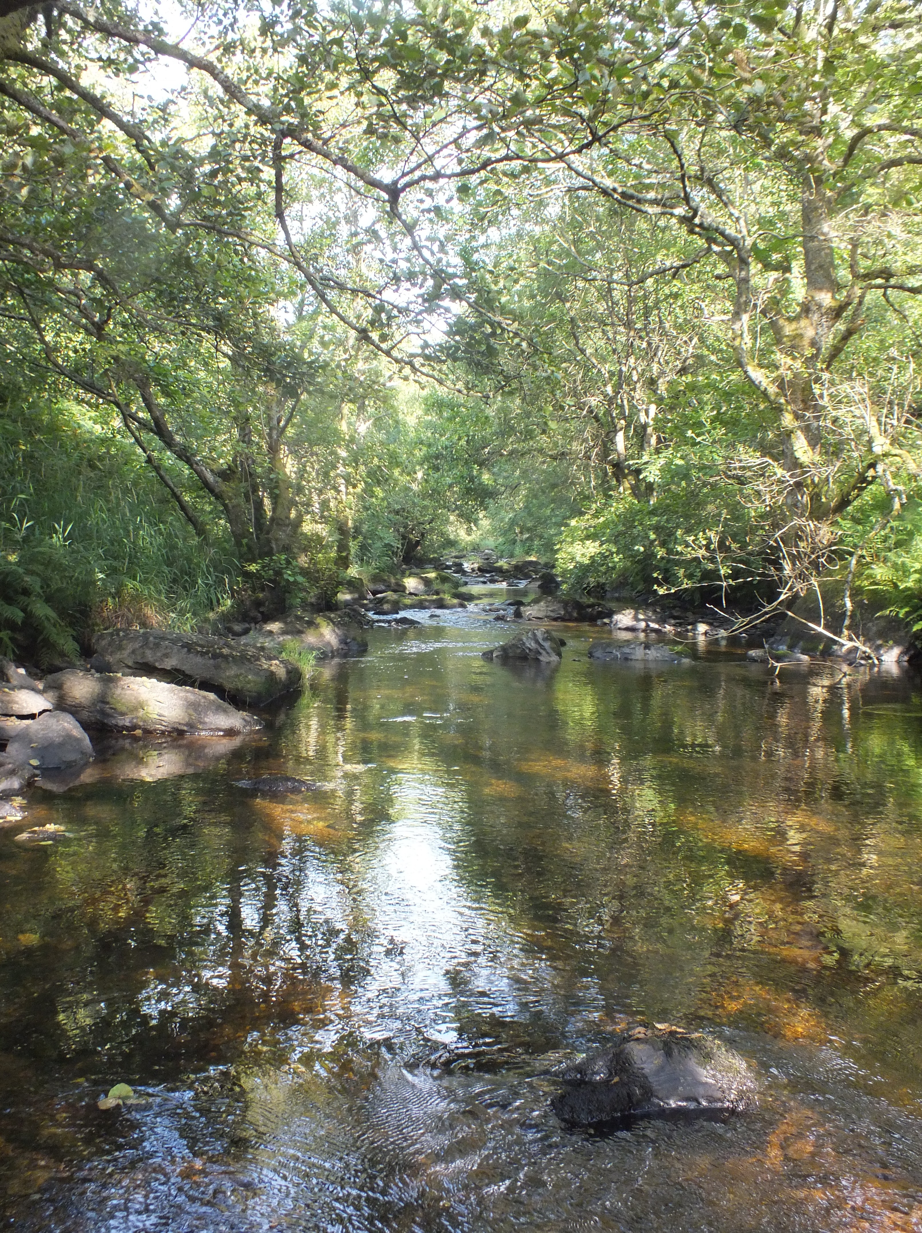 RIVER MARTEG. Bill Bagley Photography